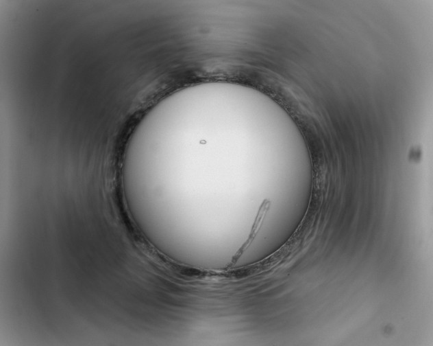 X0000102830751200808181048