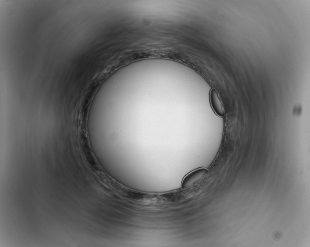 X0000102830752200808181048