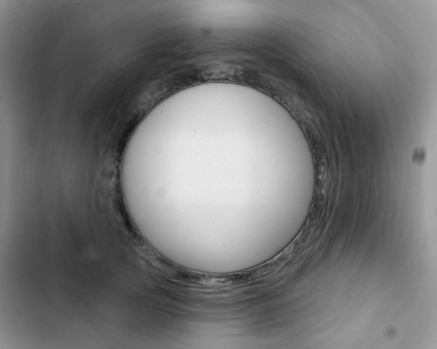 X0000102830753200808181048