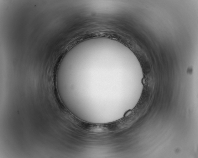 X0000102830754200808181048