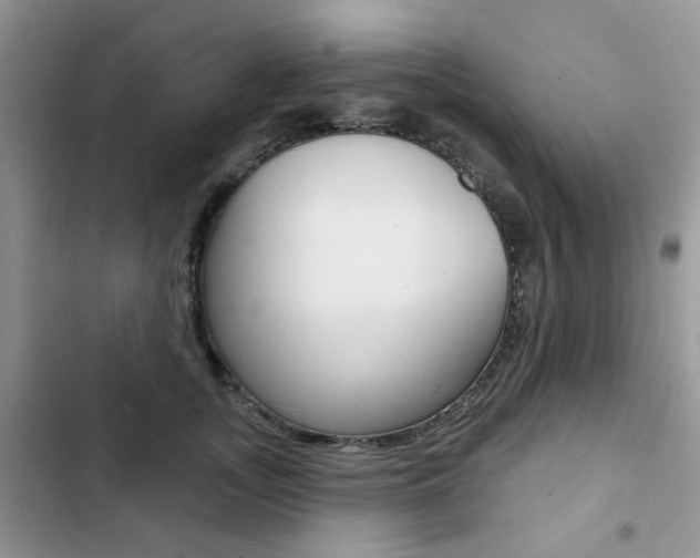 X0000102830755200808181048