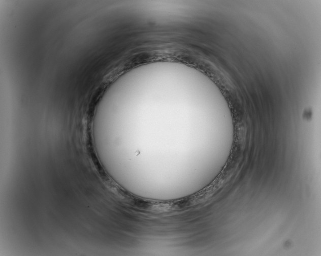 X0000102830757200808181048