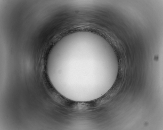 X0000102830758200808181049
