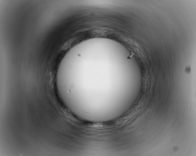X0000102830759200808181049