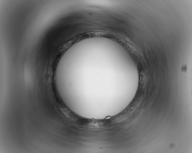 X0000102830760200808181049