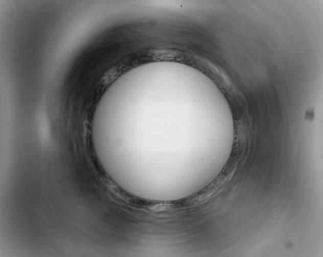 X0000102830761200808181049