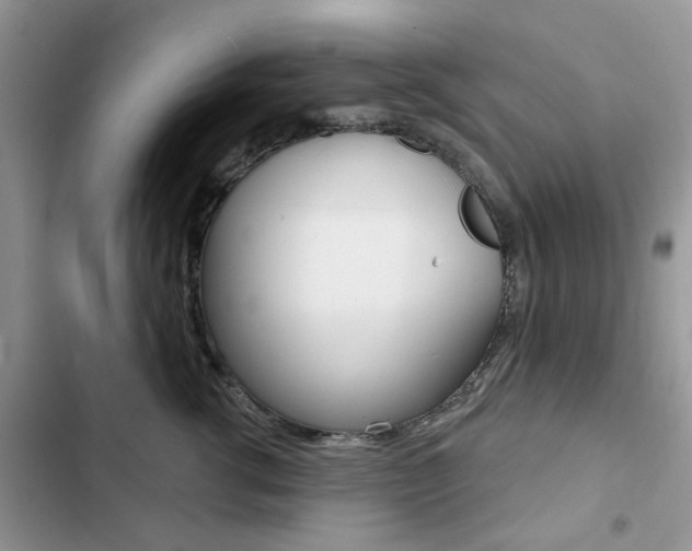 X0000102830762200808181049