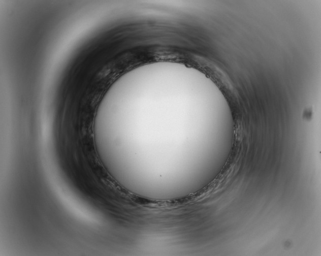 X0000102830763200808181049