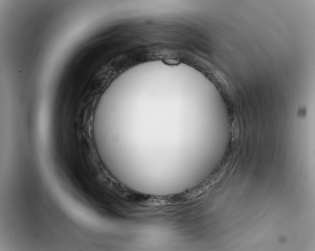 X0000102830764200808181049