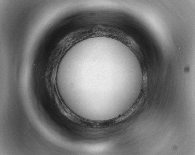 X0000102830765200808181049