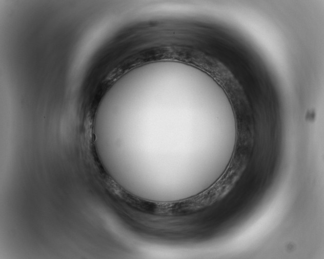 X0000102830766200808181049