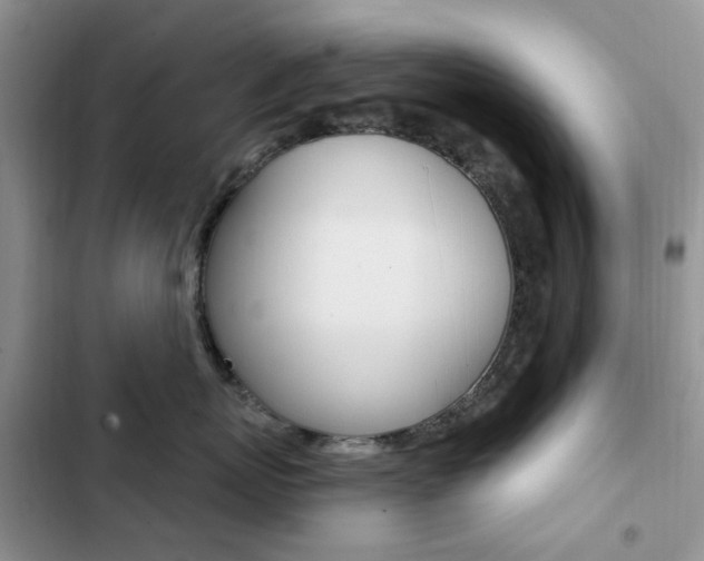 X0000102830767200808181049