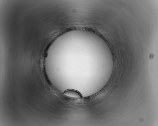 X0000102830768200808181049