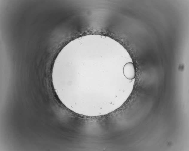 X0000102830769200808181048
