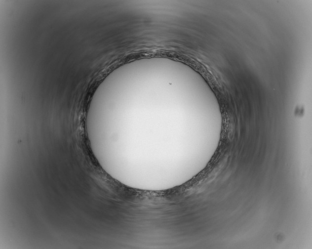 X0000102830770200808181048