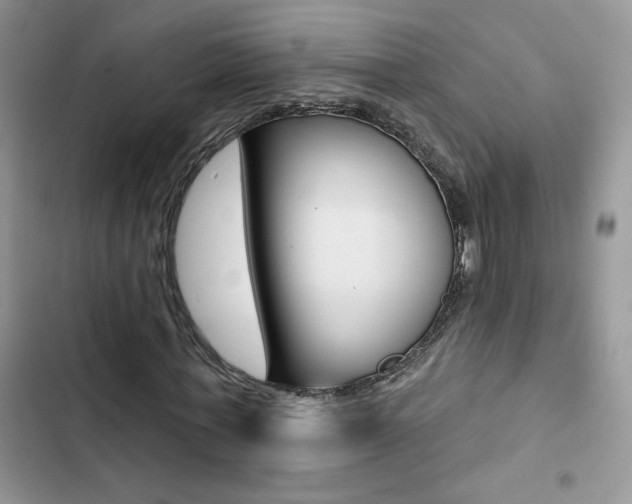 X0000102830771200808181048