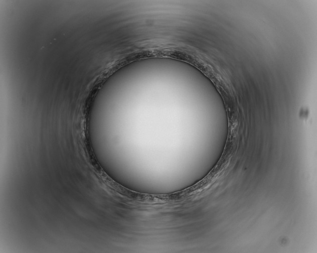 X0000102830772200808181048