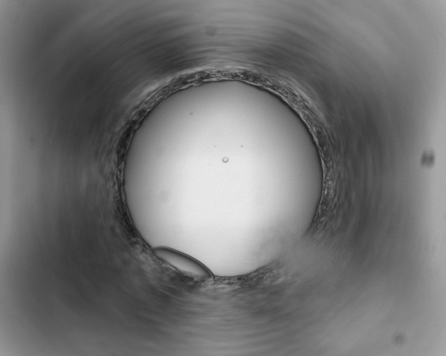 X0000102830773200808181048