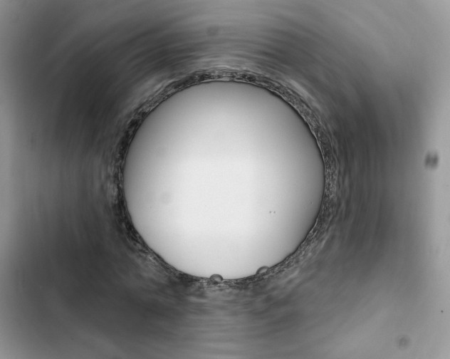 X0000102830774200808181048