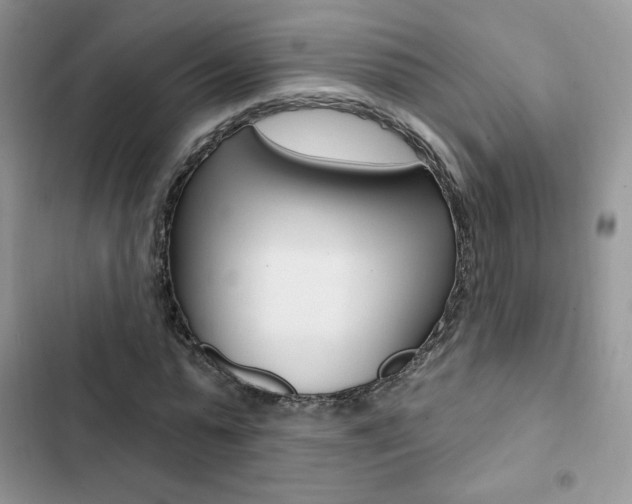 X0000102830775200808181048
