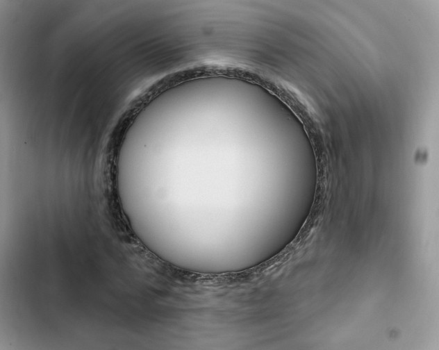 X0000102830776200808181048