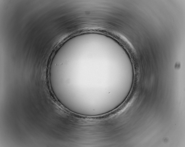 X0000102830777200808181048
