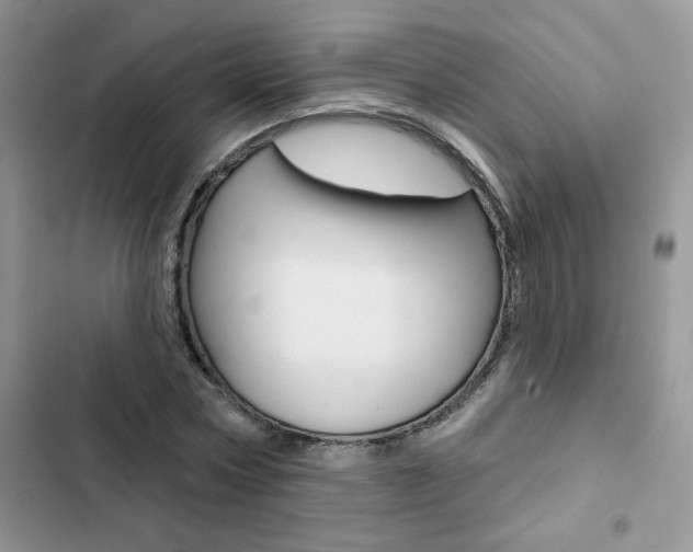 X0000102830778200808181048