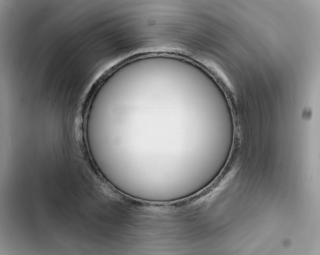 X0000102830781200808181048