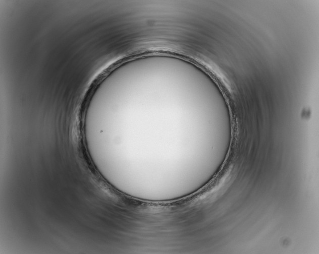 X0000102830782200808181048