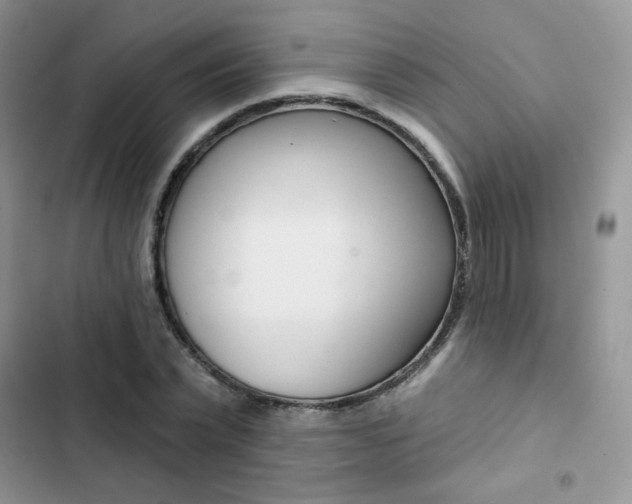 X0000102830783200808181048