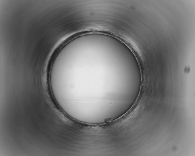X0000102830784200808181048