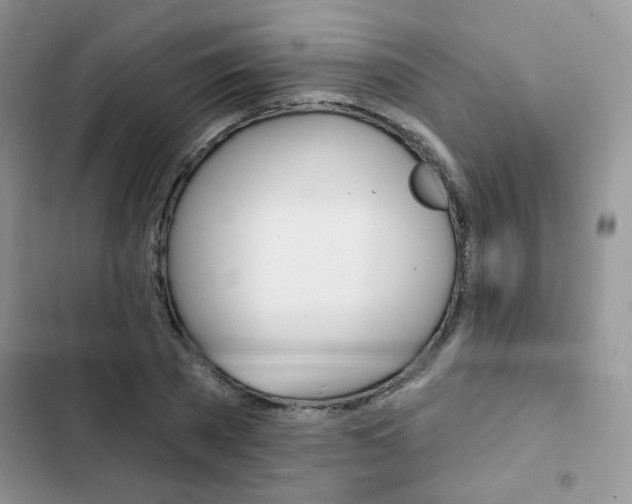 X0000102830785200808181048