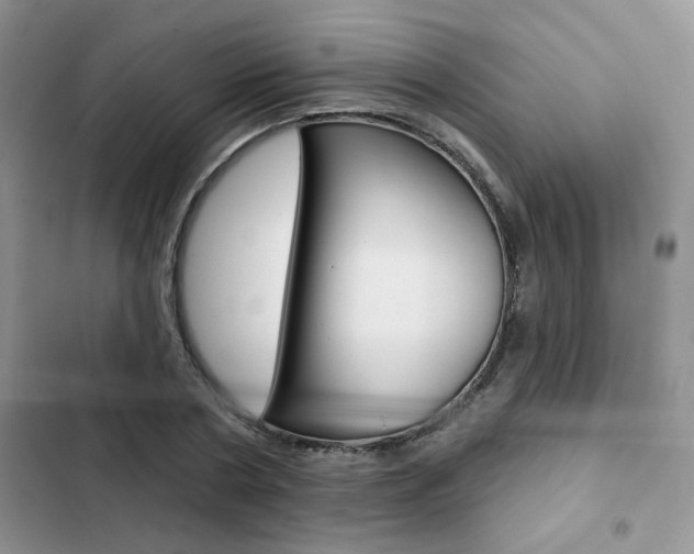 X0000102830786200808181048