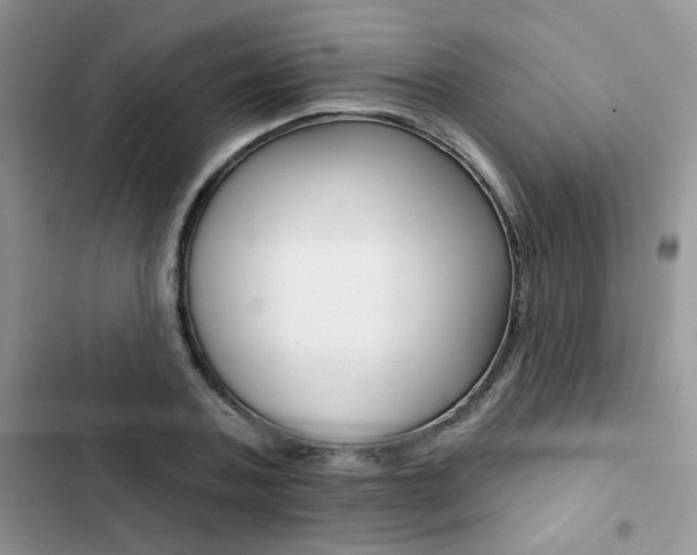 X0000102830787200808181048