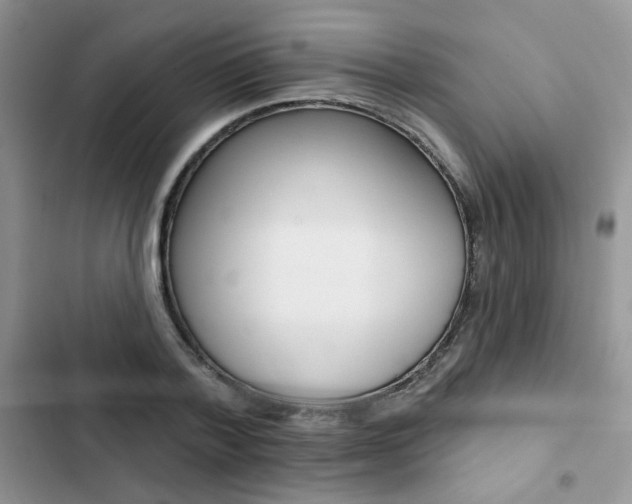 X0000102830788200808181048