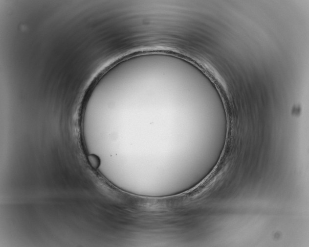 X0000102830789200808181048