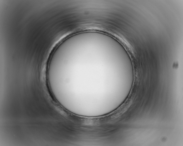 X0000102830790200808181048