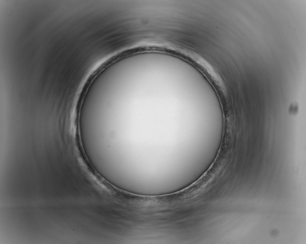 X0000102830791200808181048
