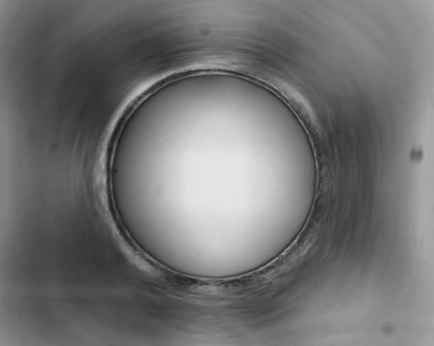 X0000102830792200808181048