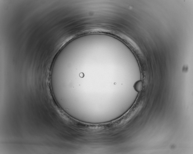 X0000102830793200808181048
