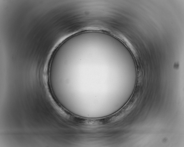 X0000102830795200808181048