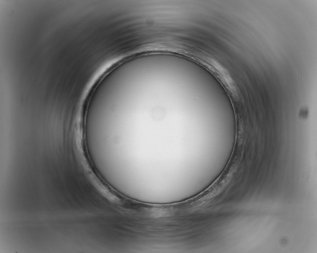 X0000102830796200808181048