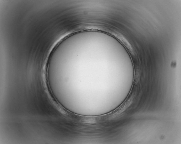 X0000102830798200808181048