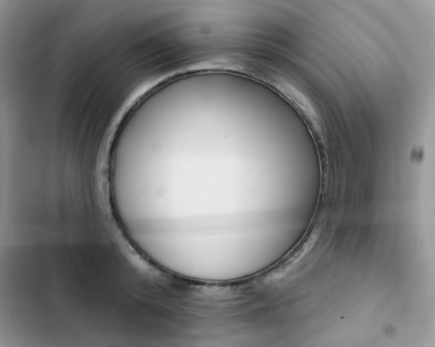 X0000102830800200808181048