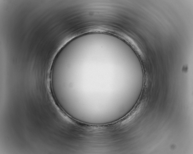 X0000102830802200808181048