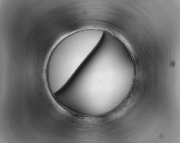 X0000102830803200808181048