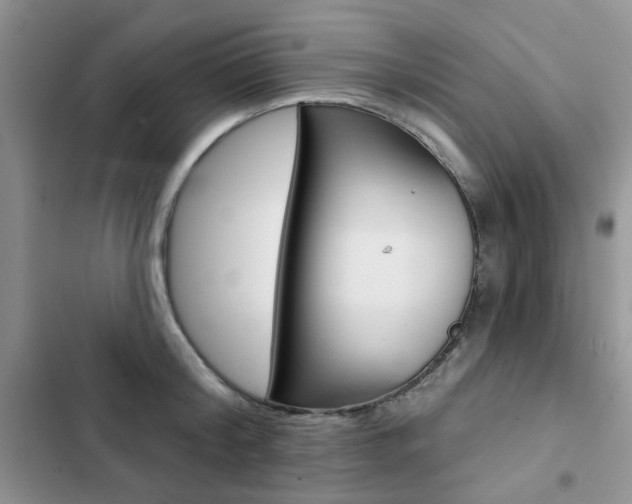 X0000102830804200808181047