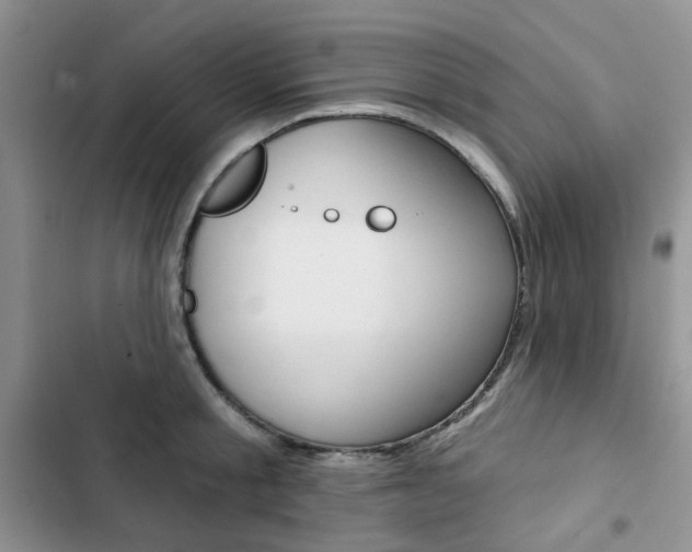 X0000102830805200808181047