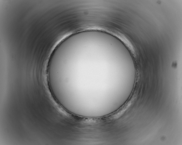 X0000102830806200808181047
