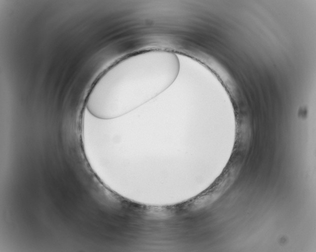 X0000102830807200808181047